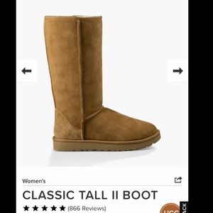 Classic Tall ll Boot Uggs